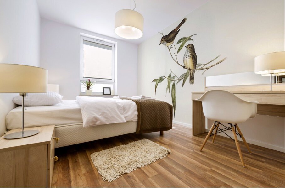 Brown Thornbill Mural print