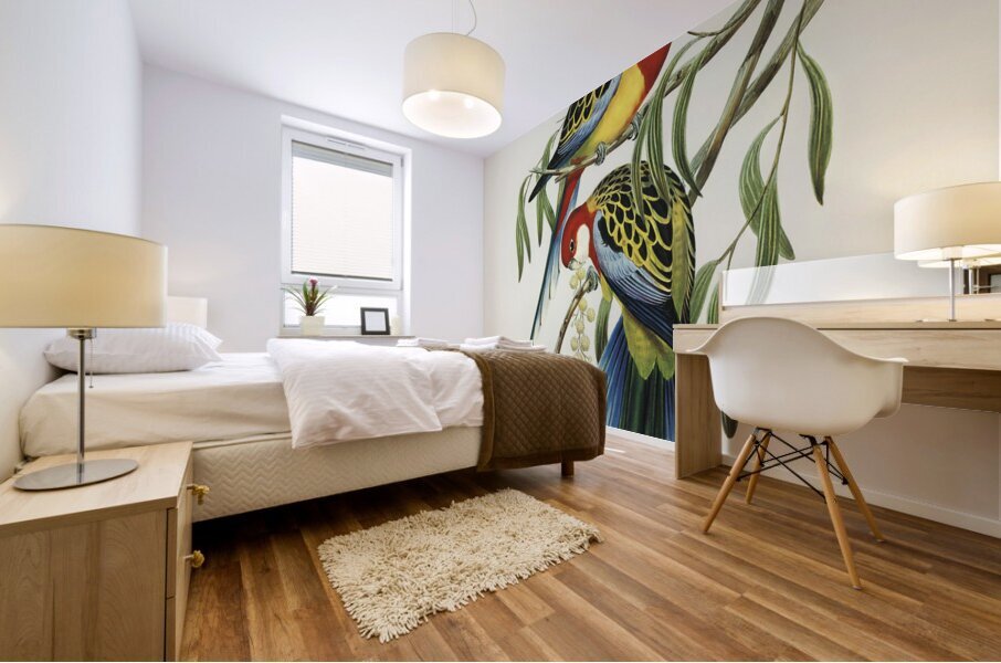 Eastern Rosella Mural print