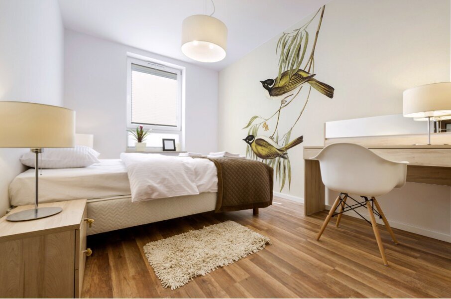 Gilbert s Honeyeater Mural print