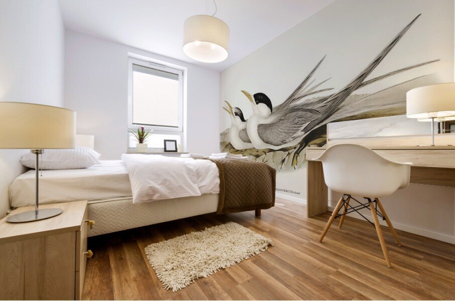 Greater Crested Tern 2 Mural print