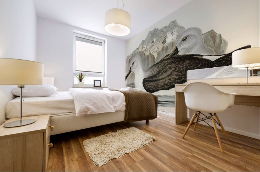 Grey Headed Albatross Mural print