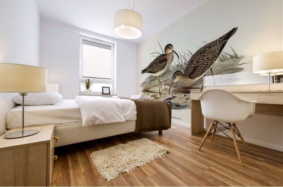 Little Curlew Mural print