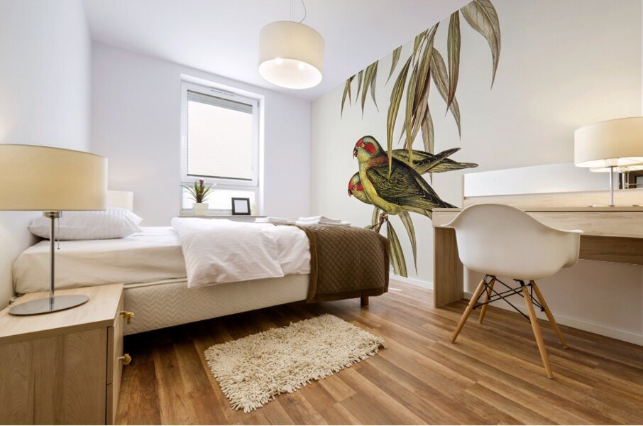 Musk Lorikeet Mural print