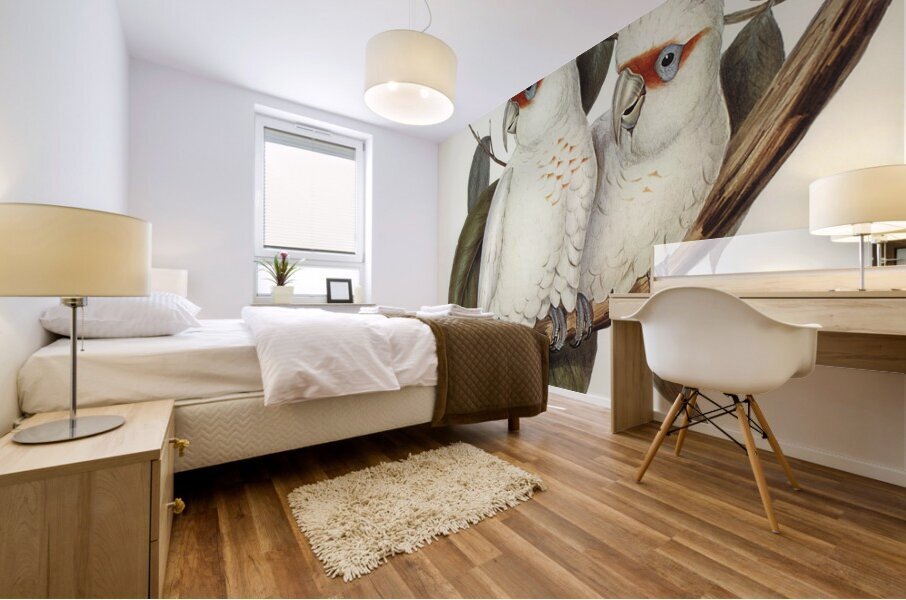 Long Billed Corella Mural print