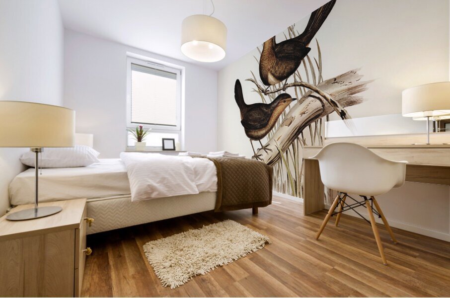 Pilotbird Mural print