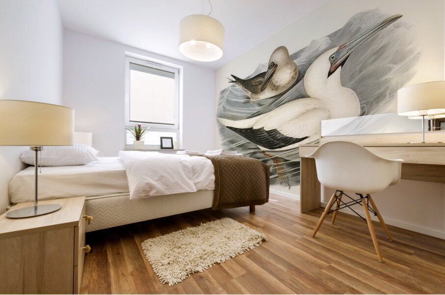 Red Footed Booby Mural print