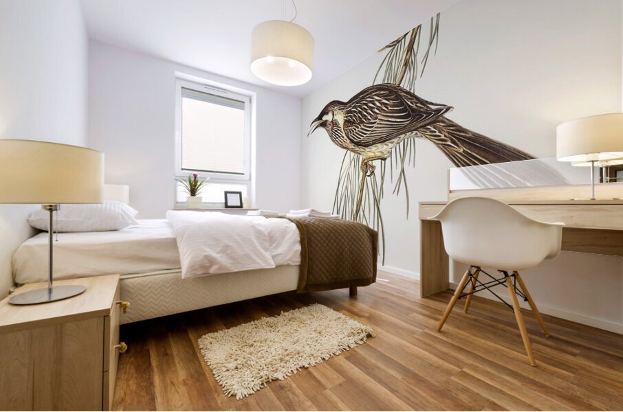 Red Wattlebird Mural print