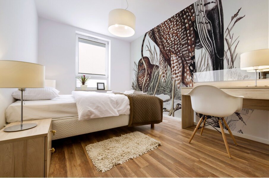 Spotted Harrier Mural print