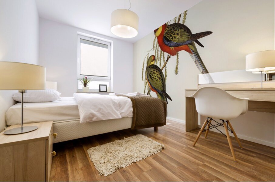 Western Rosella Mural print