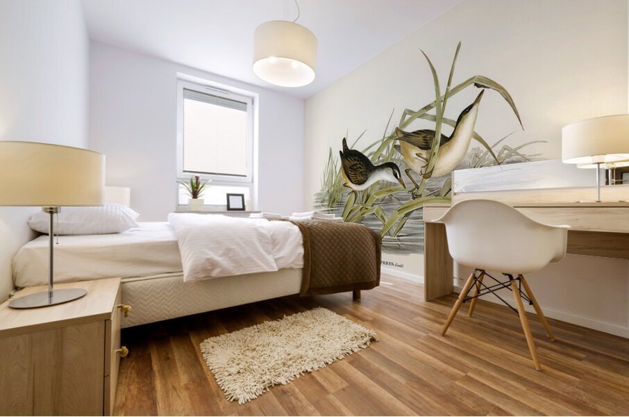 White Browed Crake Mural print