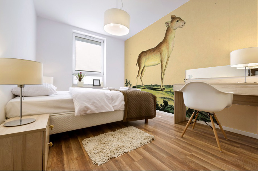 Java Mouse Deer Mural print