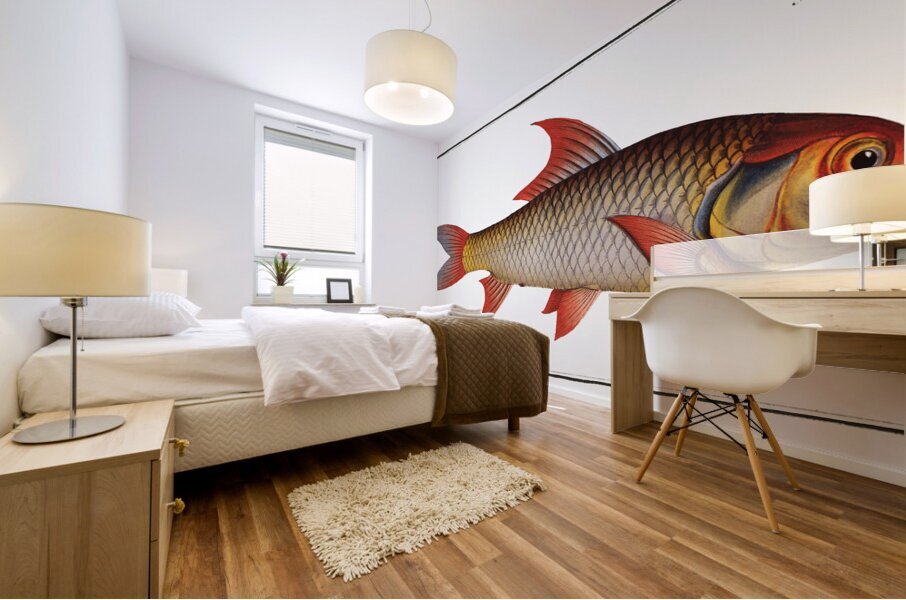 Labeo Boga Mural print