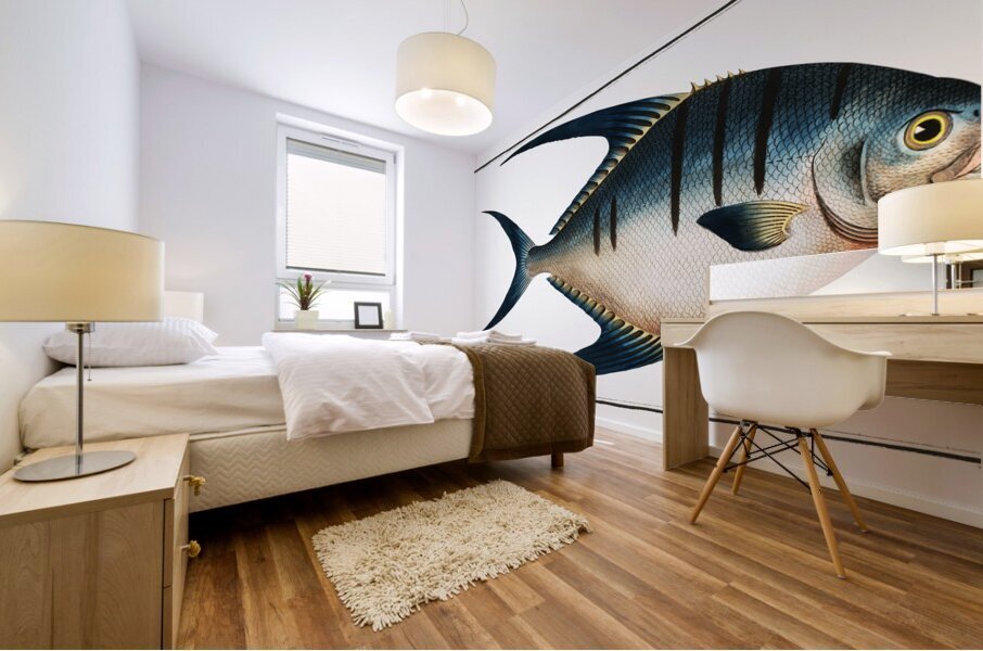 Great Pompano Palometa Mural print