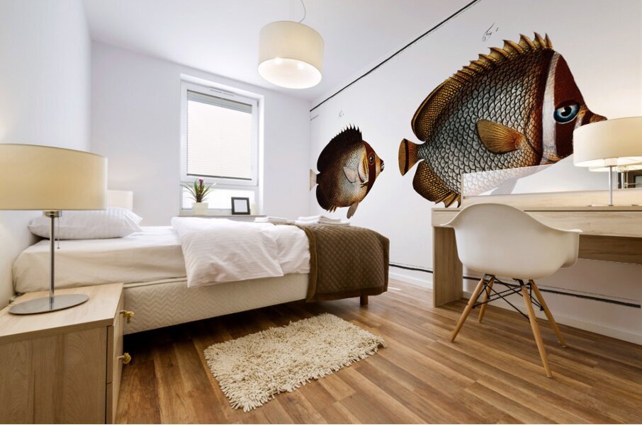 Redtail Butterflyfish and Vermiculated Angelfish Mural print