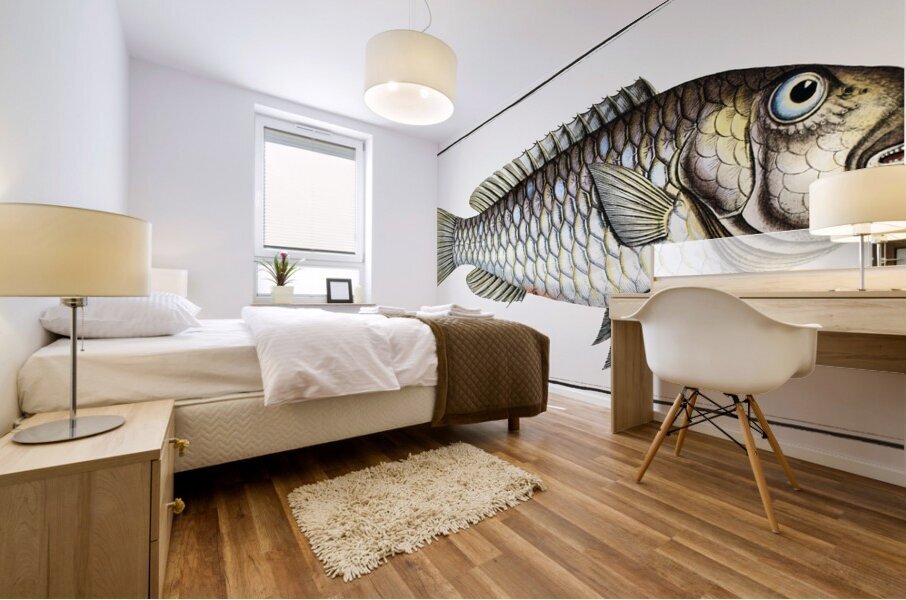 Redtail Parrotfish Mural print