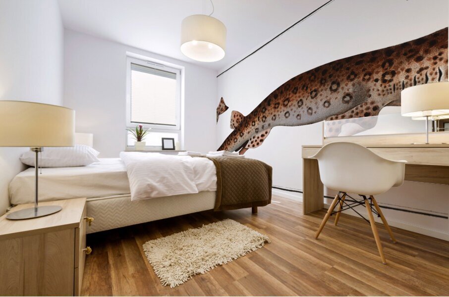 Small Spotted Catshark Sandy Dogfish Mural print