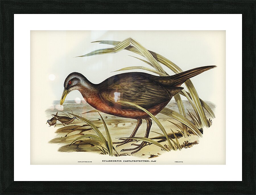 Chestnut Rail Picture Frame print