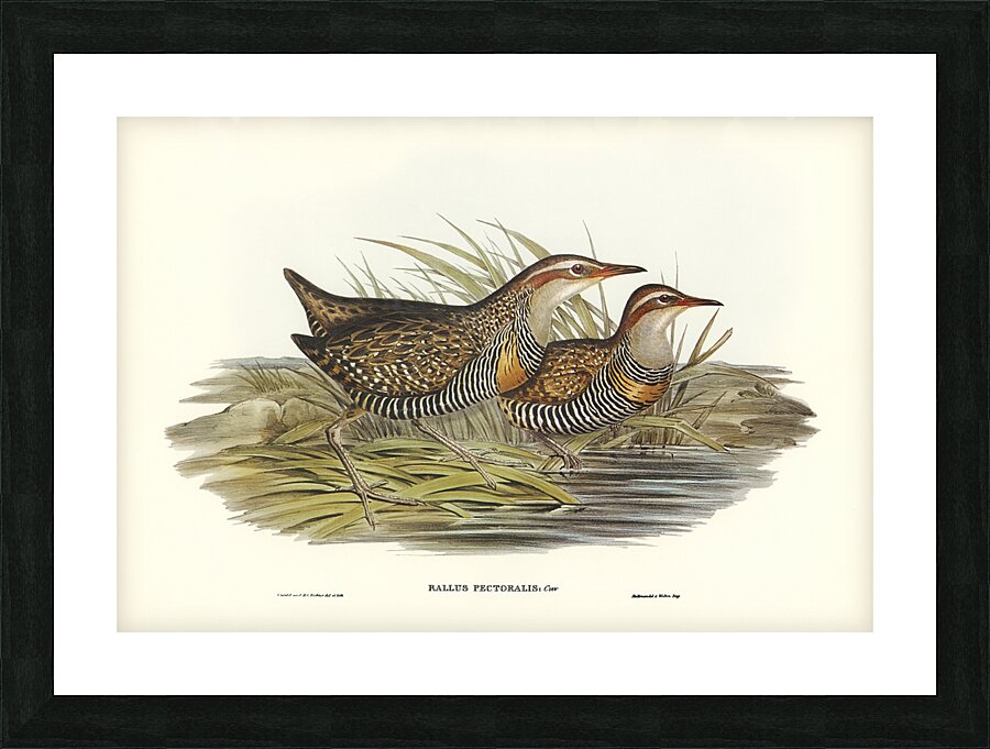 Buff Banded Rail Picture Frame print