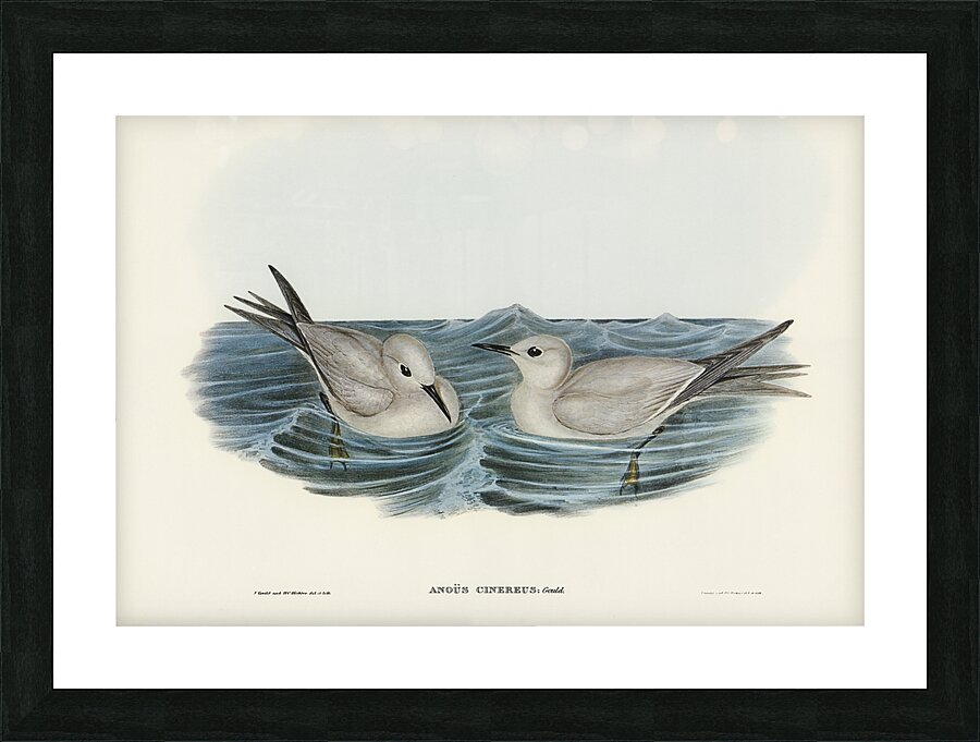 Blue Noddy Picture Frame print