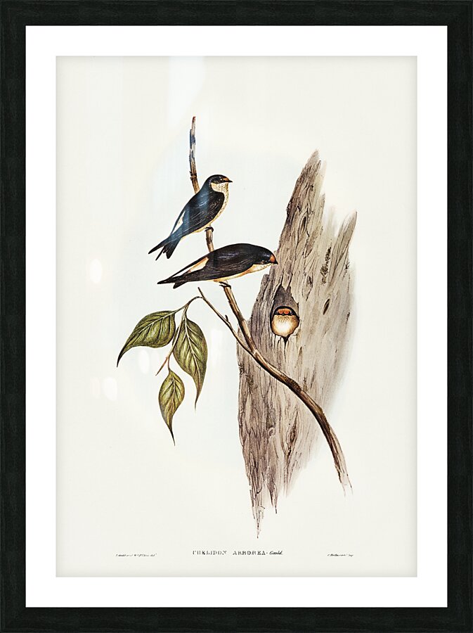 Tree Martin Picture Frame print