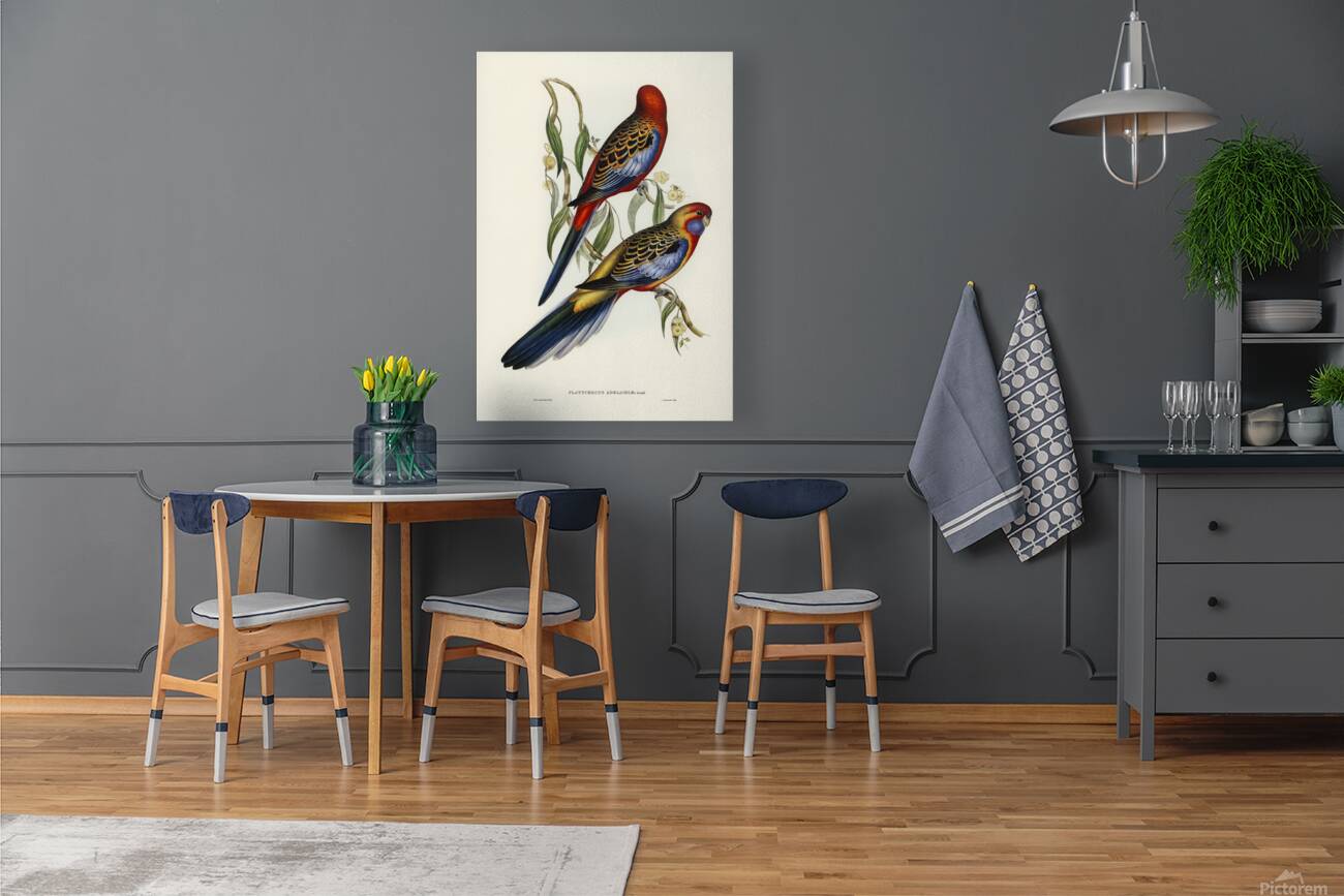 Crimson Rosella Reproduction