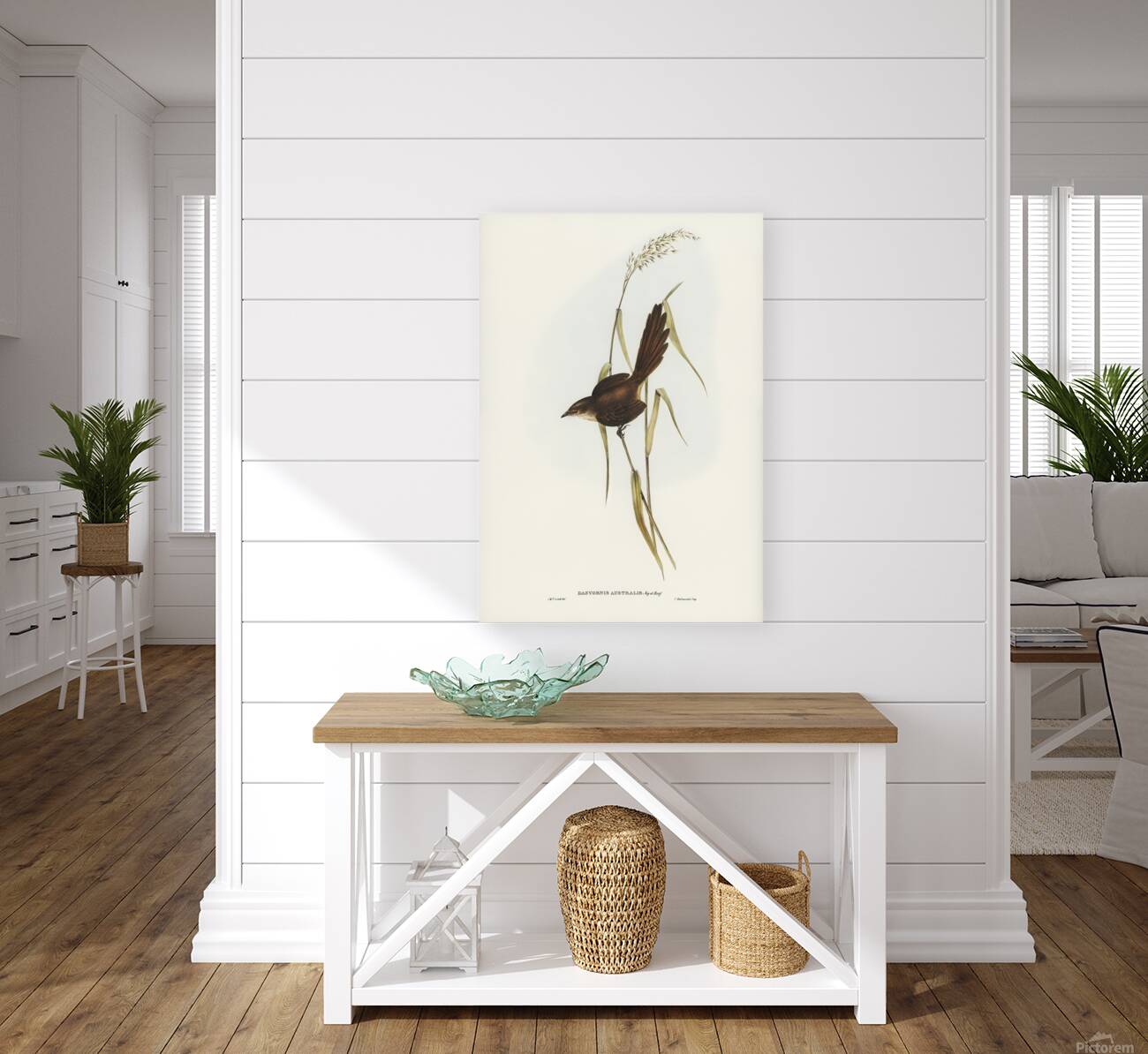Eastern Bristlebird Reproduction