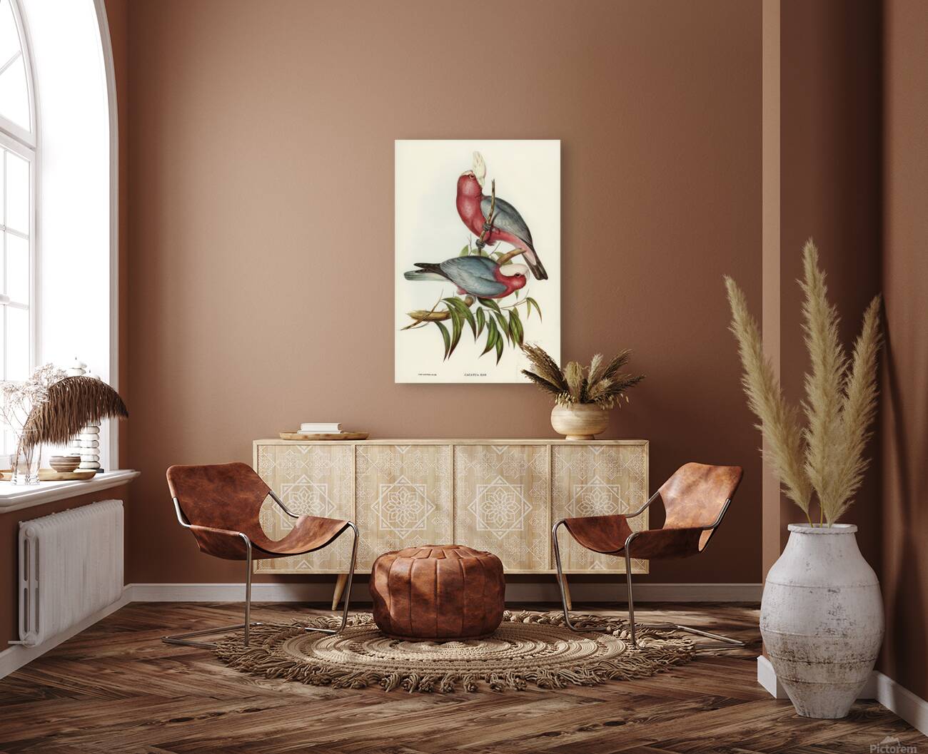 Galah Reproduction