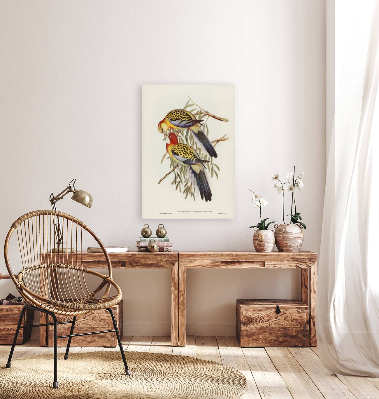 Eastern Rosella 2 Reproduction
