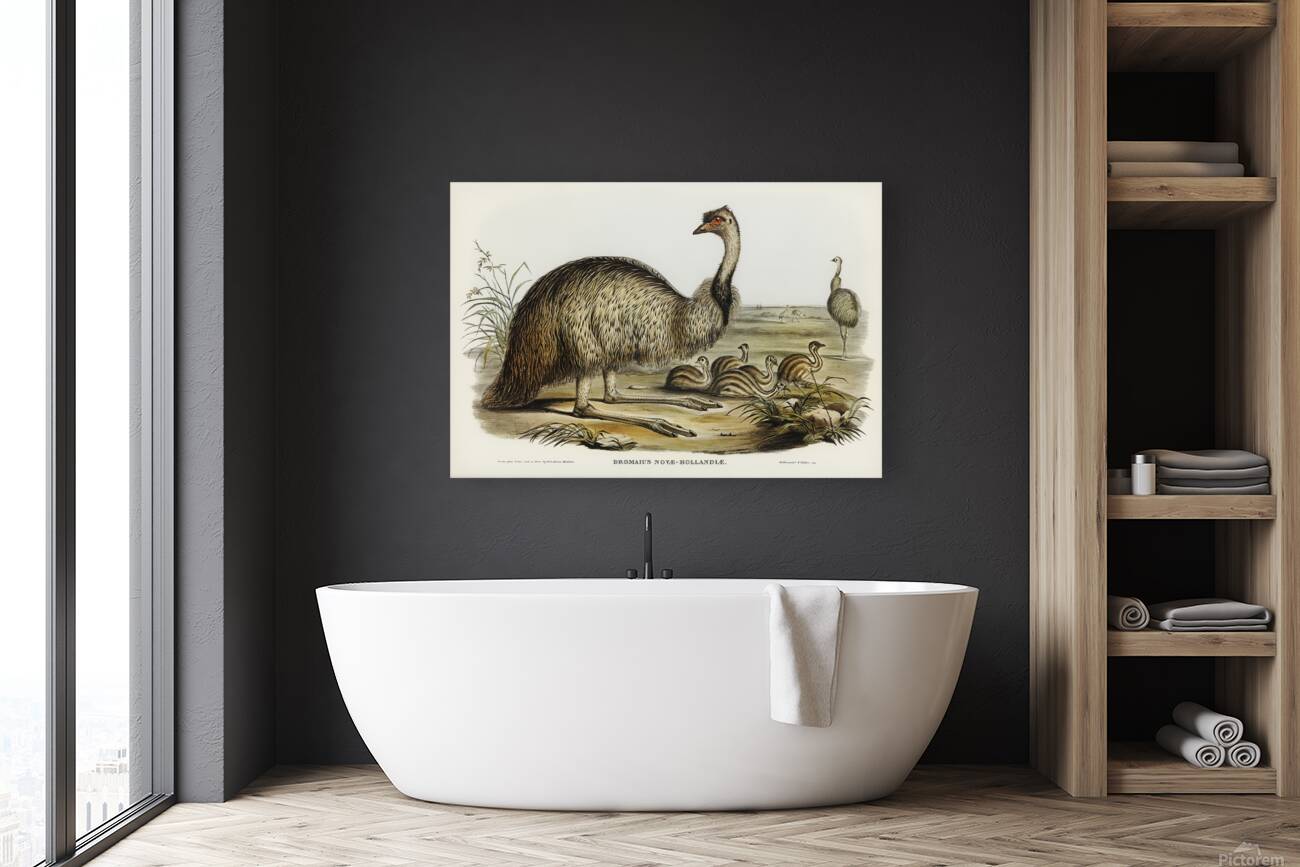 Emu Reproduction