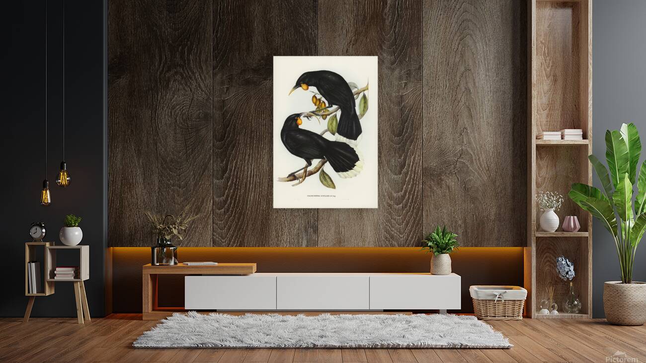 Huia Reproduction