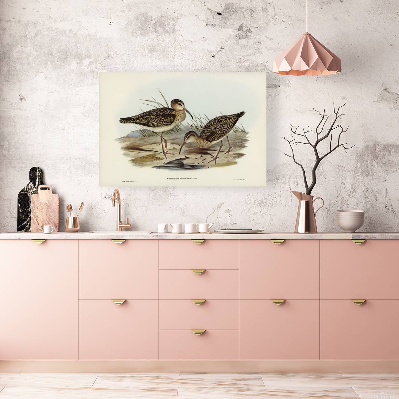 Little Curlew Reproduction