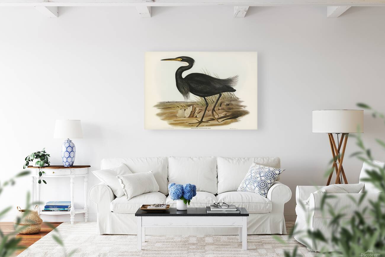 Little Egret 2 Reproduction