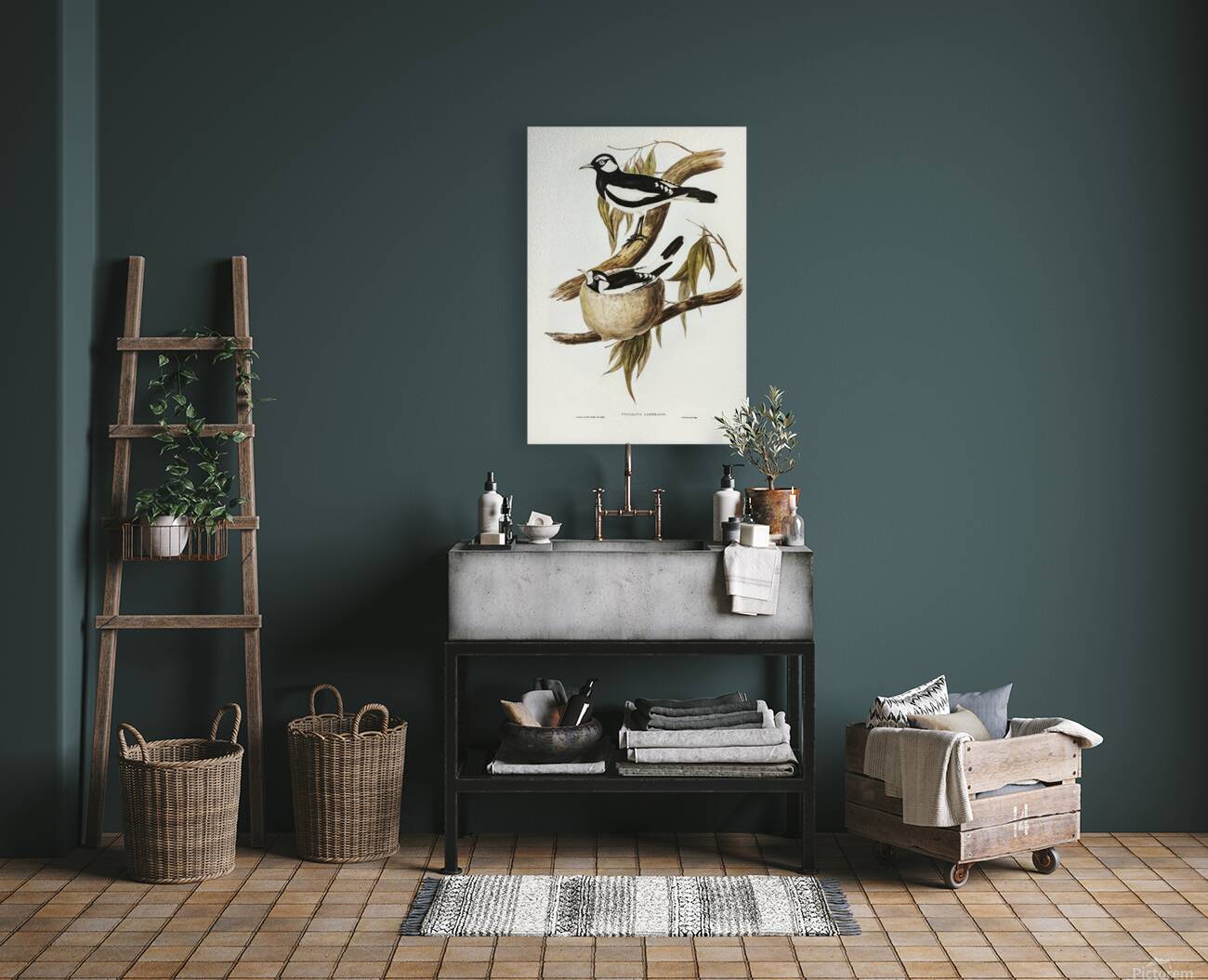 Magpie Lark Reproduction