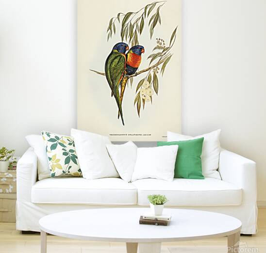 Rainbow Lorikeet Reproduction