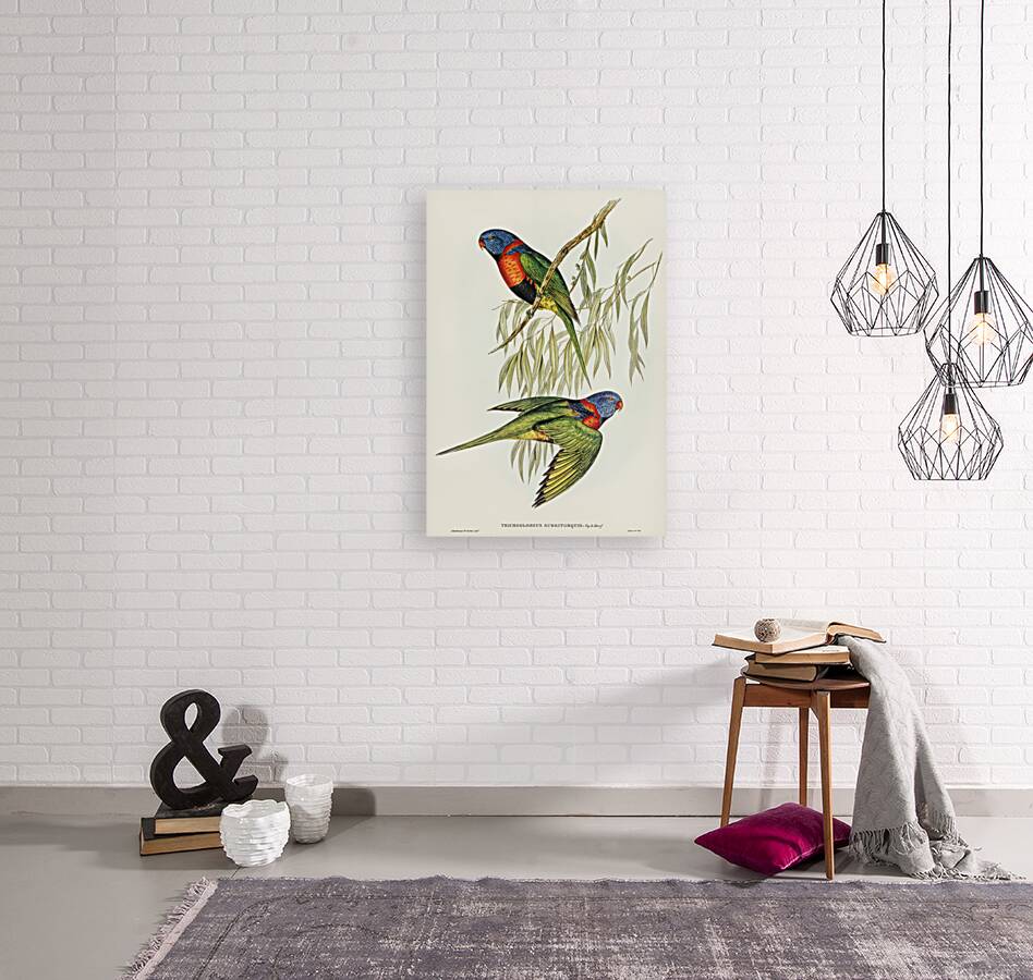 Red Collared Lorikeet Reproduction