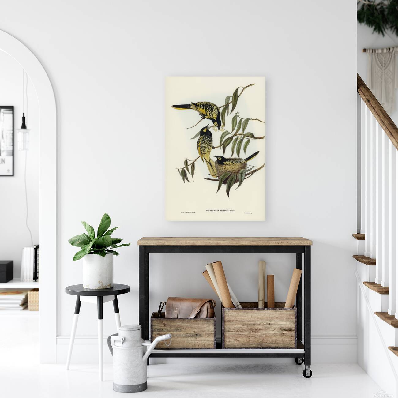 Regent Honeyeater Reproduction