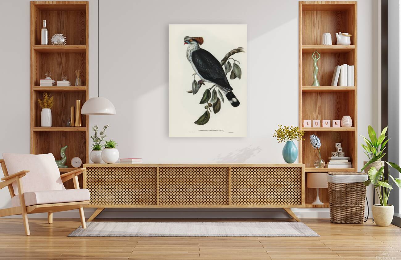 Topknot Pigeon Reproduction