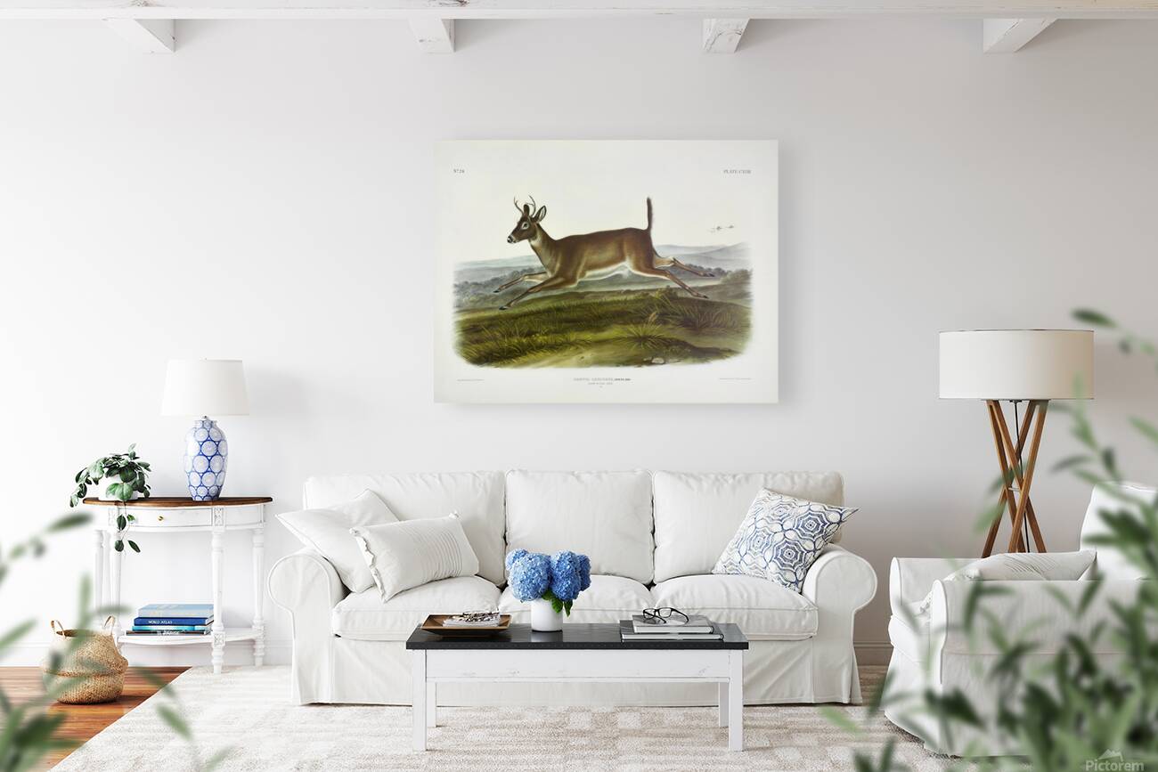 Mule Deer Reproduction