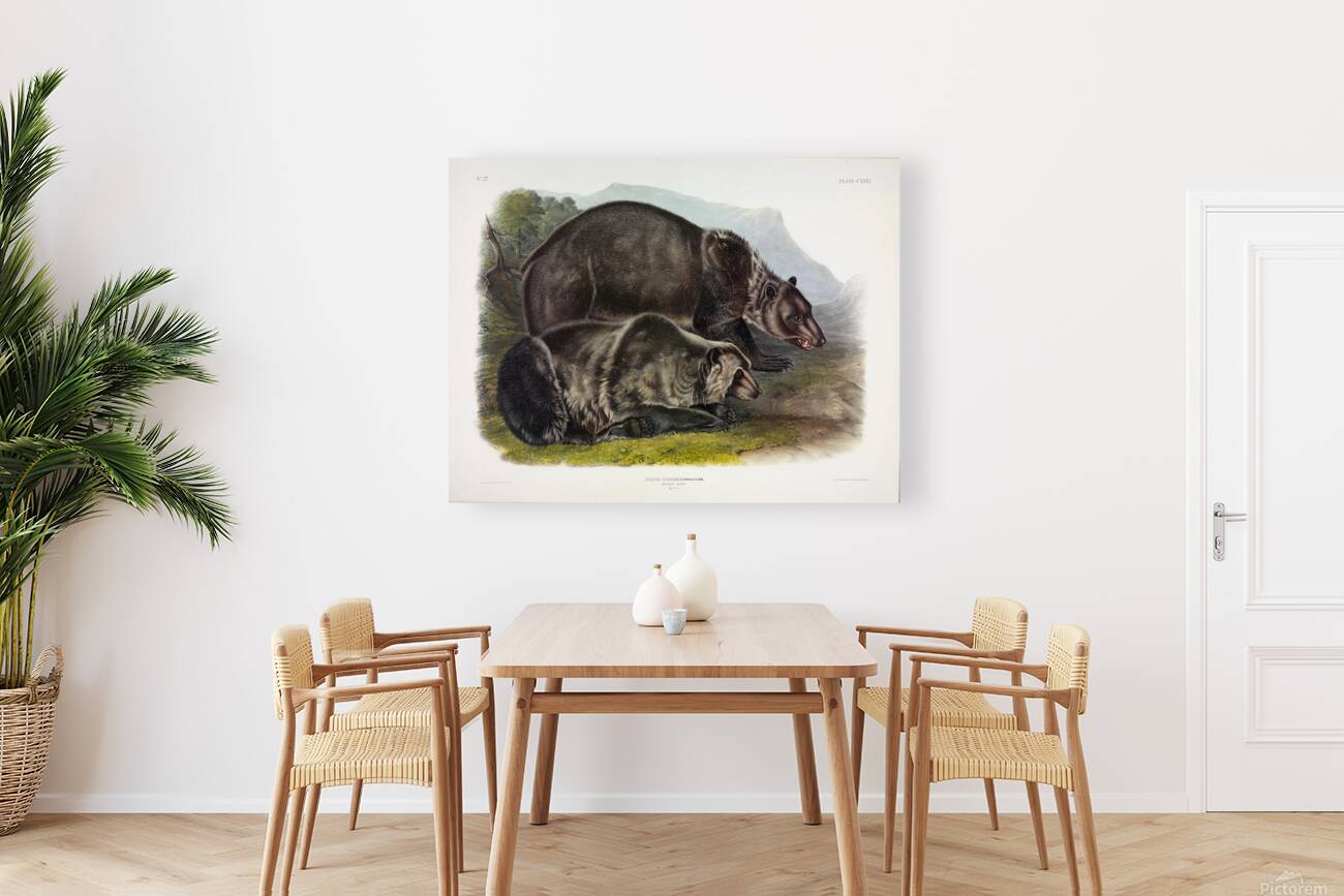 Grizzly Bear Reproduction