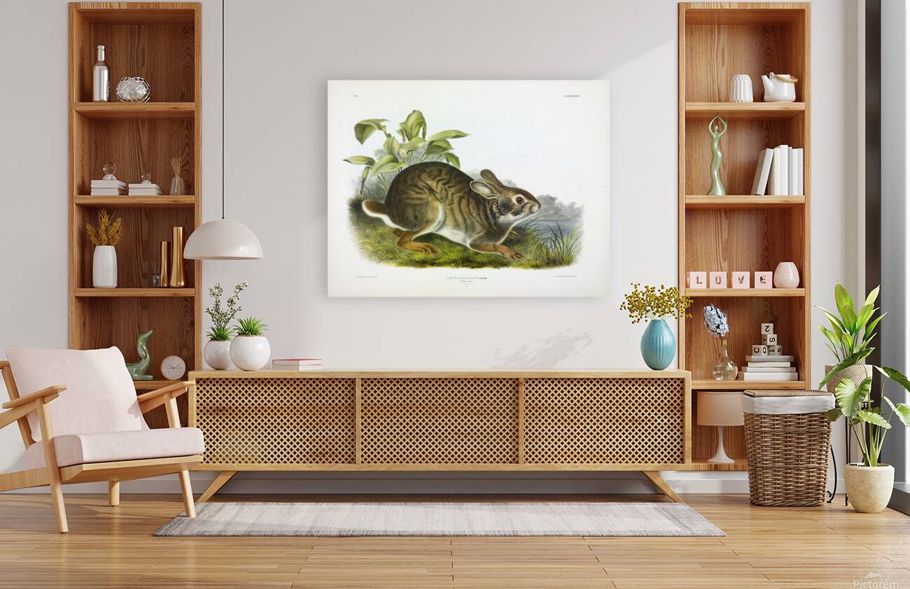 Swamp Hare Reproduction