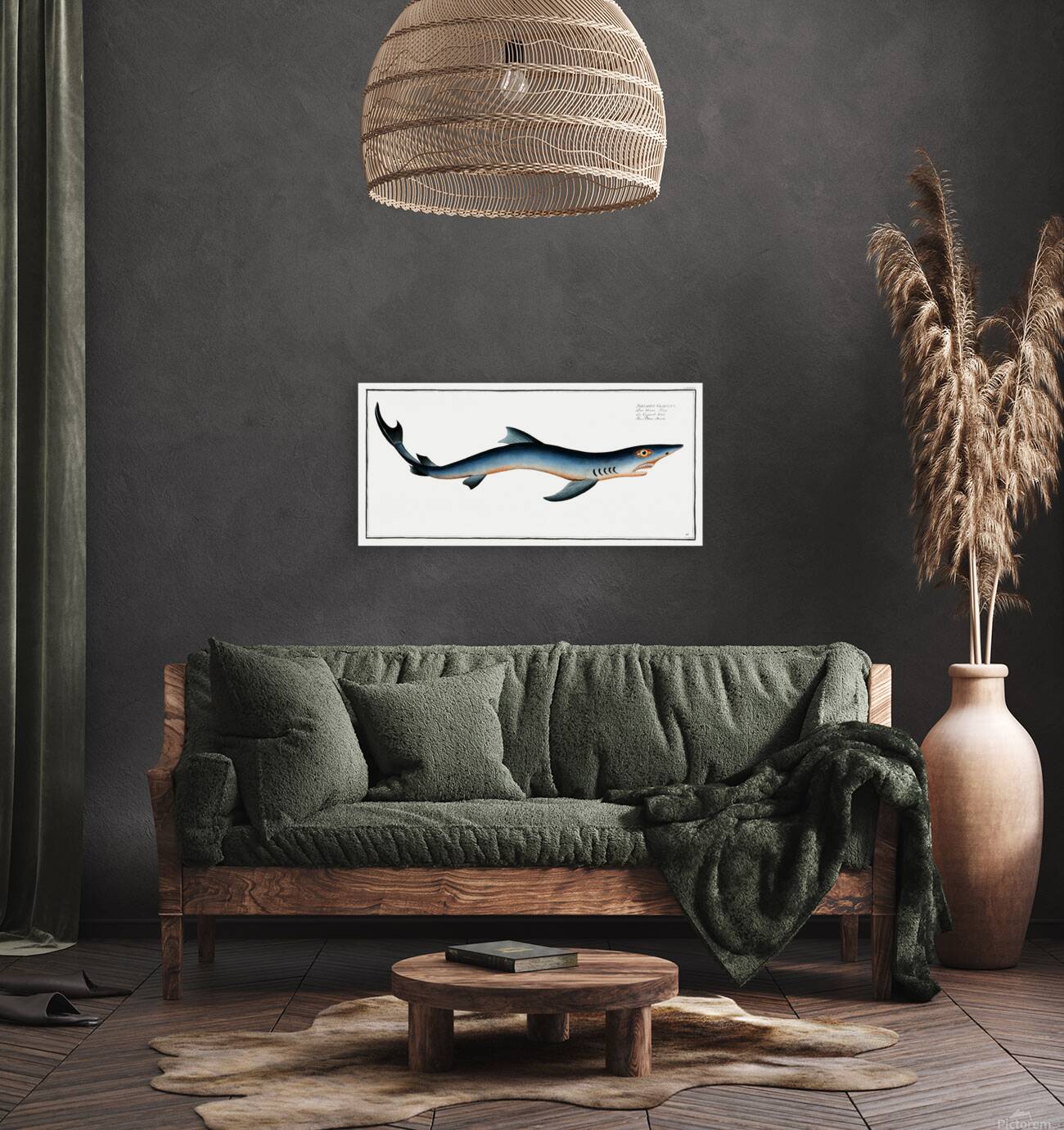 Blue Shark Reproduction