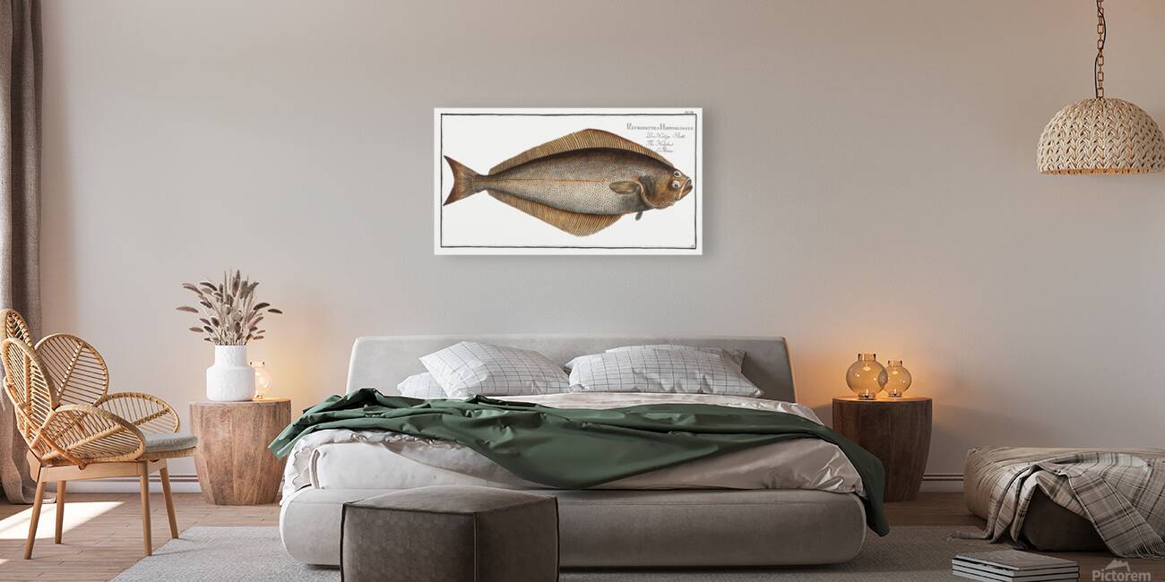 Atlantic Halibut Reproduction