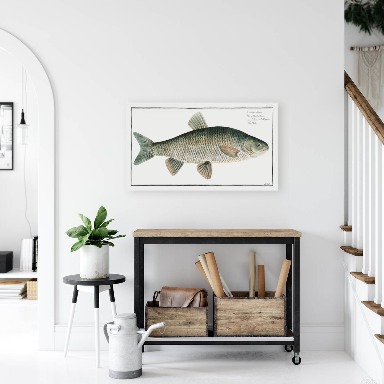 Ide Orfe Reproduction