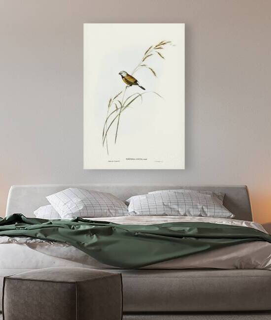 Black Throated Finch by History In Your Home