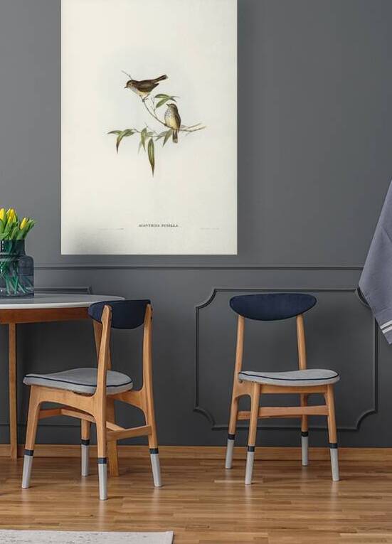 Brown Thornbill by History In Your Home