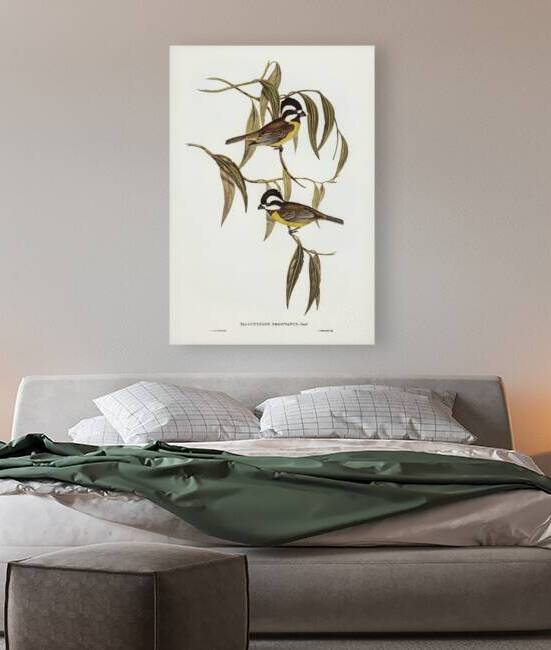 Crested Shriketit by History In Your Home