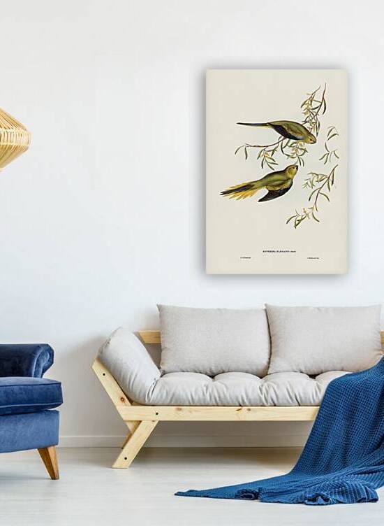 Elegant Parrot by History In Your Home