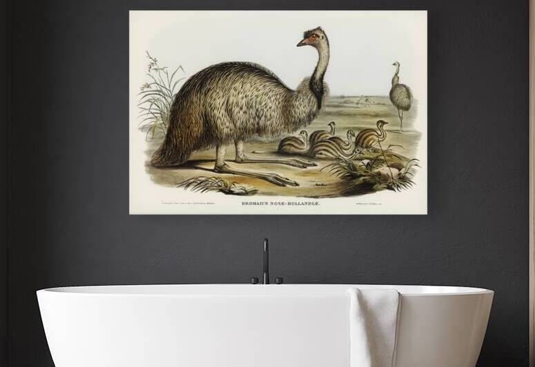 Emu by History In Your Home