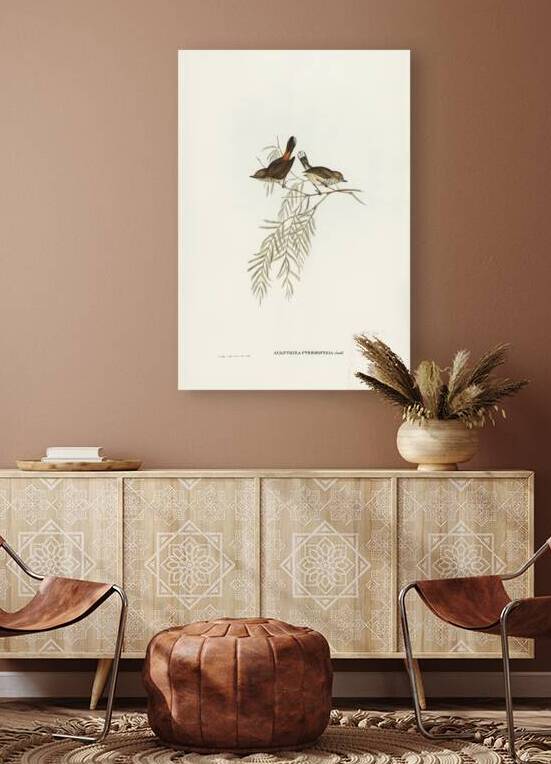 Inland Thornbill 2 by History In Your Home