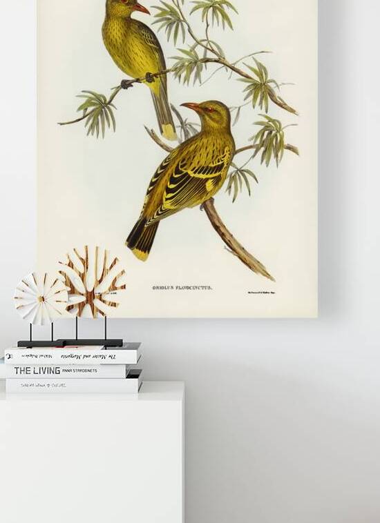 Green Oriole by History In Your Home